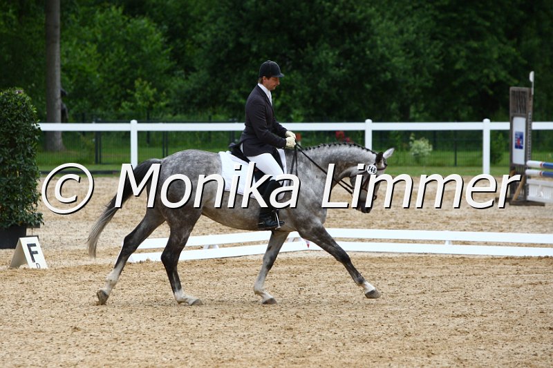 006M5218_Dressurpferde L.JPG